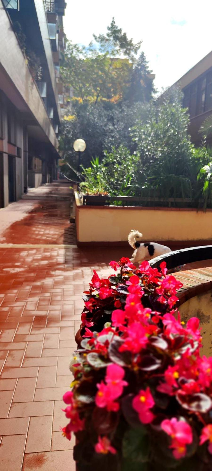 Gemme Fiorentine Apartments In Front Of The Train Station 5 Minutes From The Centre Free Parking Florence Ngoại thất bức ảnh